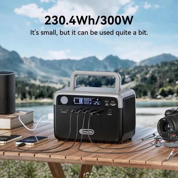 Flashfish 300W LiFePO4 Portable Power Station | 230.4Wh, Peak 600W, AC Outlets for Hurricane, Camping & Home Emergency